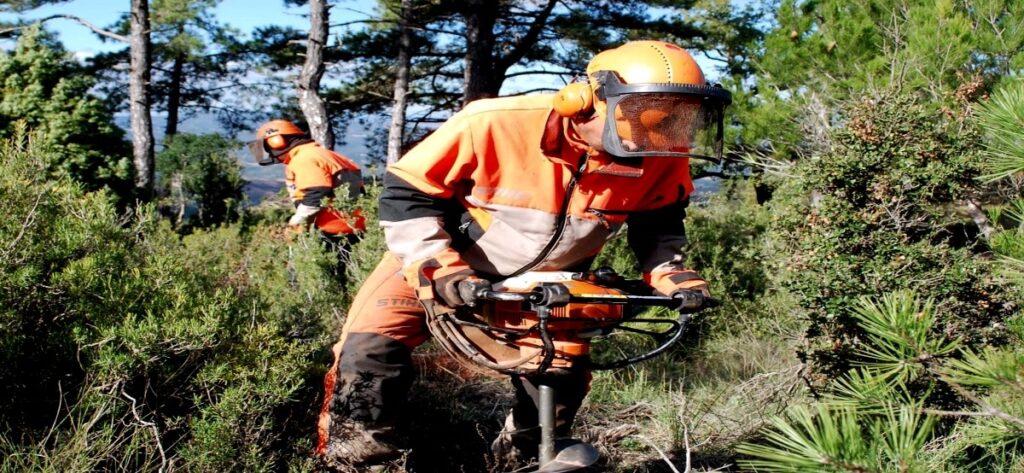 Empleo-Jardinero-Forestal