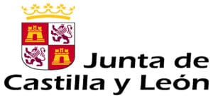 Empleo Ayuntamiento Castilla y Leon Logo 1 - ofertasempleo.online