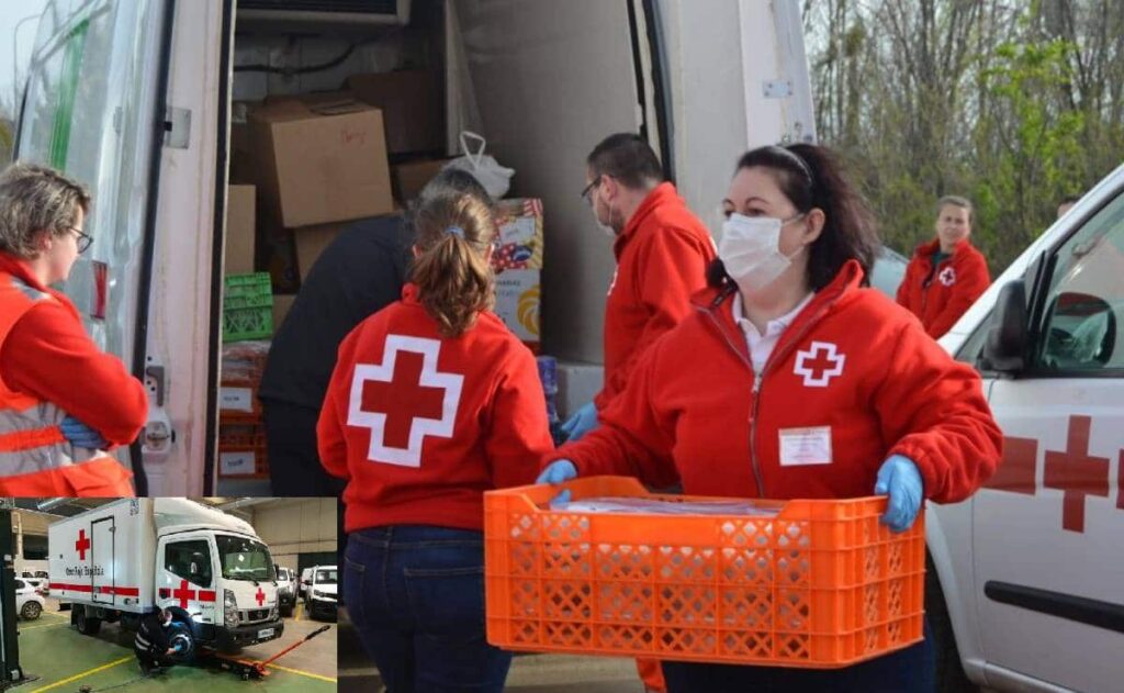 Empleo Cruz Roja verano 2022 - ofertasempleo.online